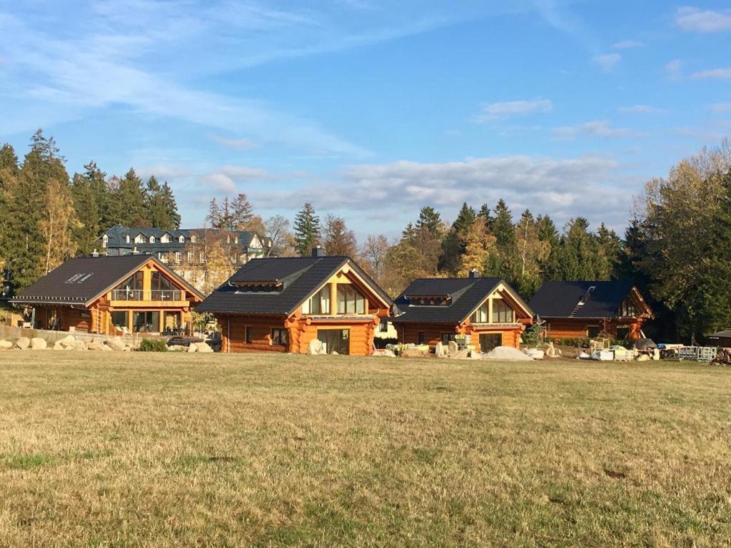 Naturstammhaus Und Appartements Zum Brockenbaecker Tanne Exterior photo